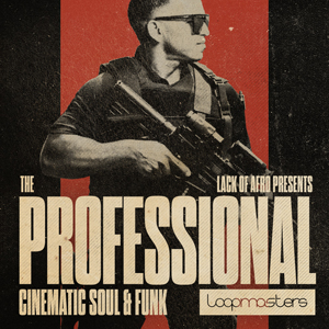 THE PROFESSIONAL - CINEMATIC SOUL & FUNK