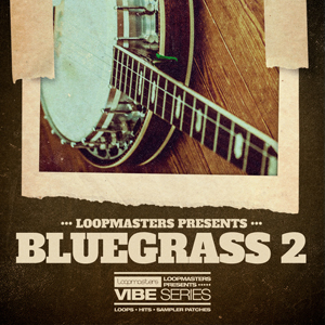 VIBES 16 - BLUEGRASS VOL 2