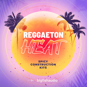REGGAETON HEAT - SPICY CONSTRUCTION KITS