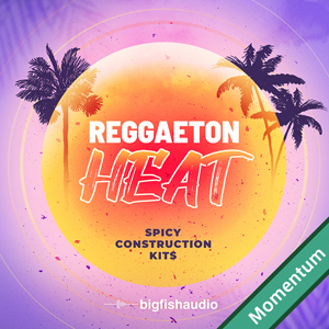 REGGAETON HEAT - SPICY CONSTRUCTION KITS MMT