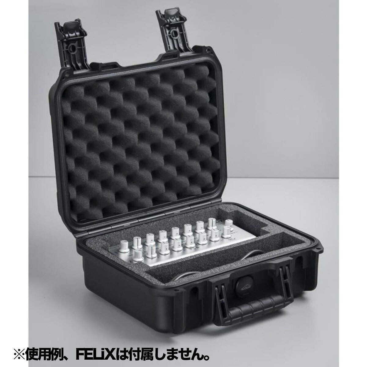 FELiX SKB case