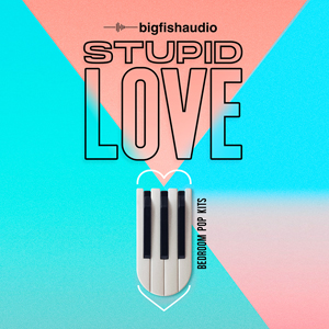 STUPID LOVE - BEDROOM POP KITS