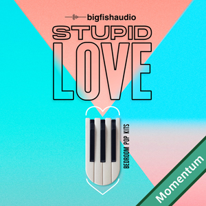 STUPID LOVE - BEDROOM POP KITS MMT