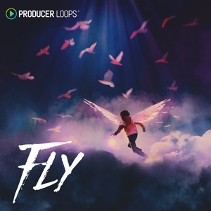 FLY