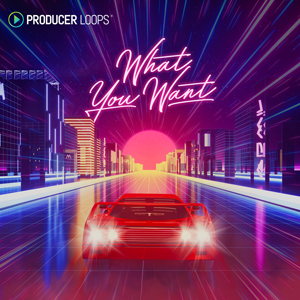 WHAT YOU WANT