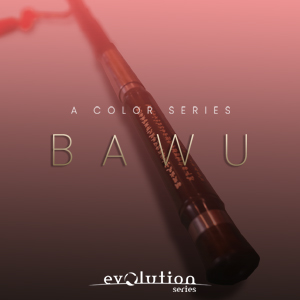 WORLD COLORS BAWU