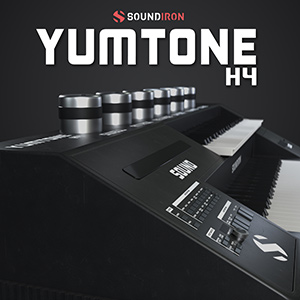 YUMTONE H4
