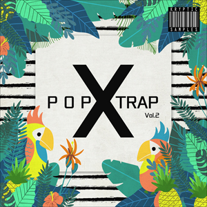 POP X TRAP VOL 2