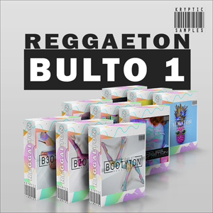 REGGAETON BULTO 1