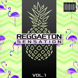 REGGAETON SENSATION VOL 1