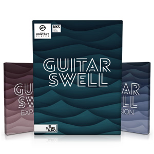 GUITAR SWELL ＋ EXPANSION