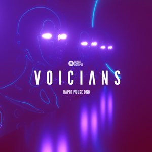 RAPID PULSE DNB - VOICIANS