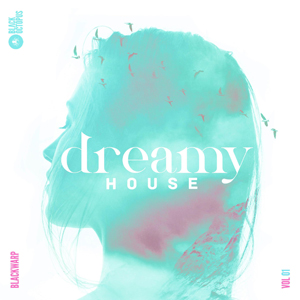 DREAMY HOUSE VOL.1
