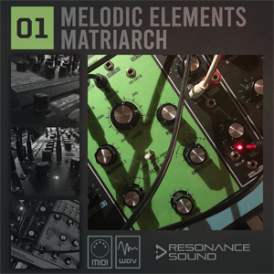 MELODIC ELEMENTS 01 - MATRIARCH