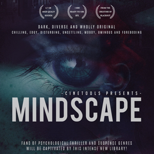 MINDSCAPE