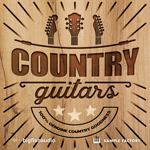 COUNTRY GUITARS