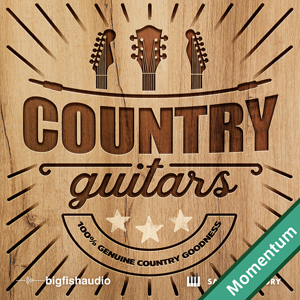 COUNTRY GUITARS MMT