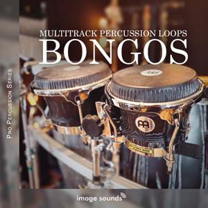 BONGOS
