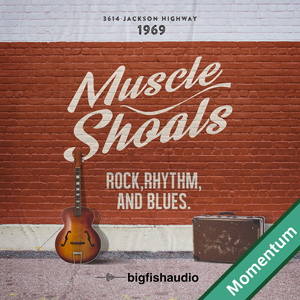 MUSCLE SHOALS MMT