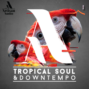 TROPICAL SOUL & DOWNTEMPO