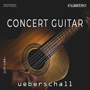 CONCERT GUITAR