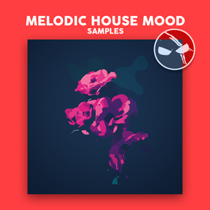 MELODIC HOUSE MOOD