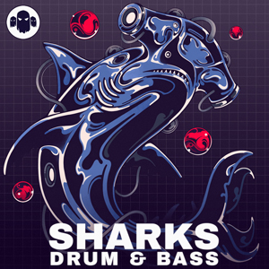SHARKS - DRUM & BASS