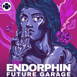ENDORPHIN - FUTURE GARAGE