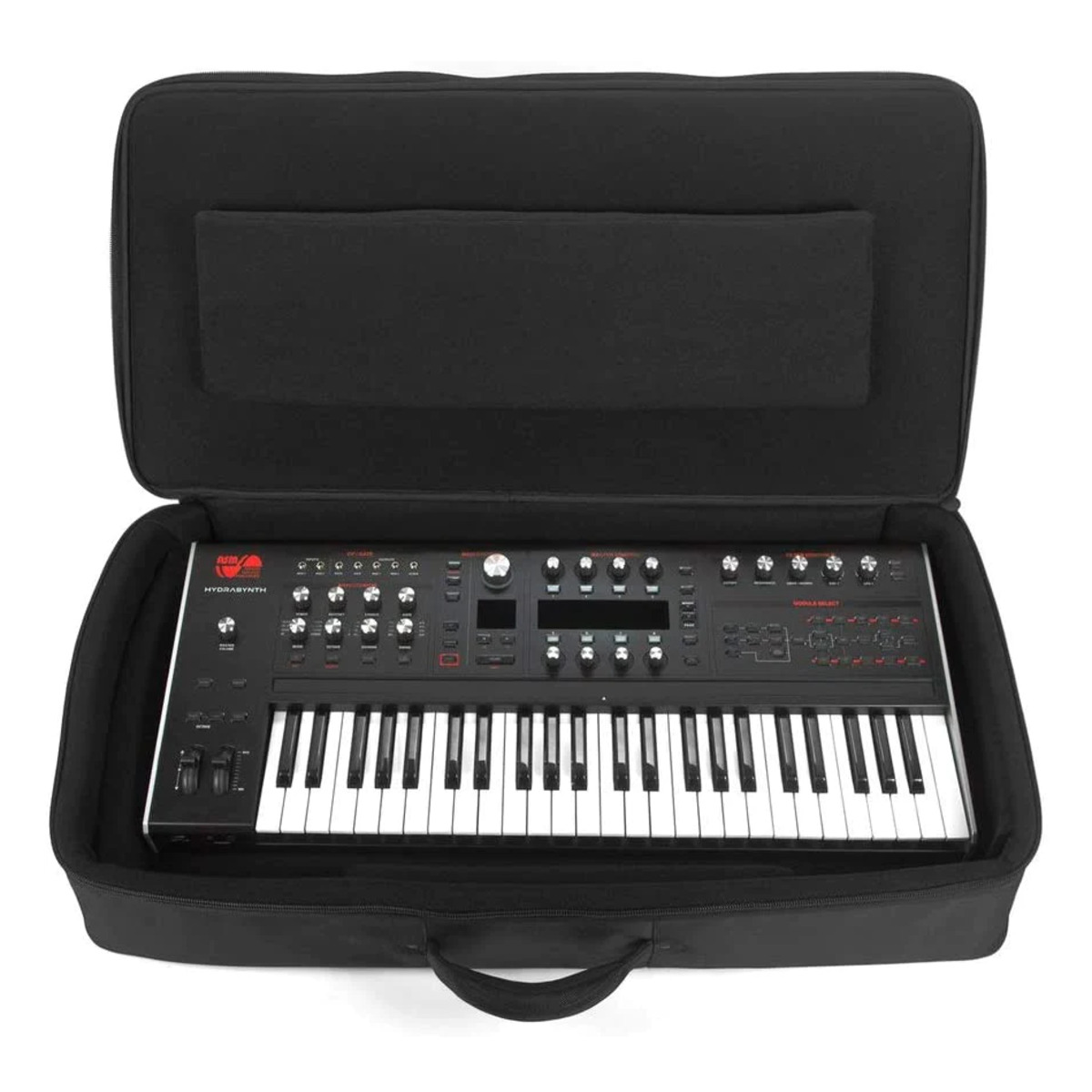 MOOG MATRIARCH/ASM HYDRASYNTHバックパックケース