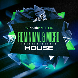 ROMINIMAL & MICRO HOUSE
