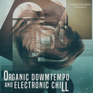 ORGANIC DOWNTEMPO & ELECTRONIC CHILL