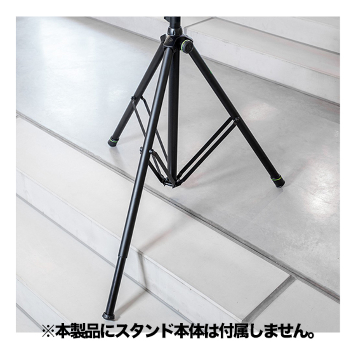 GSPVARILEG01