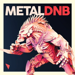 METAL DRUM & BASS
