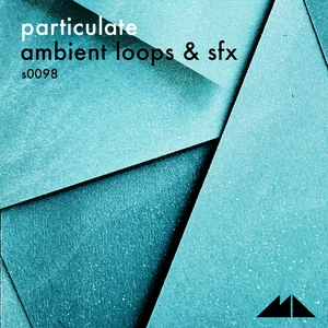 PARTICULATE