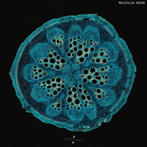 MOLECULAR NOISE