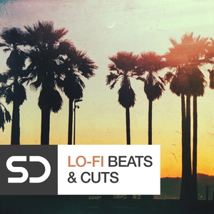 LO-FI BEATS & CUTS