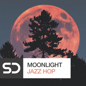 MOONLIGHT JAZZ HOP