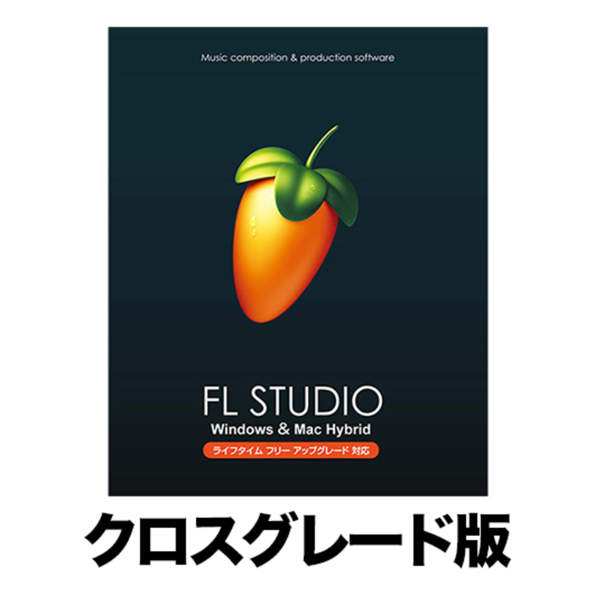 FL STUDIO 21 Signature クロスグレード