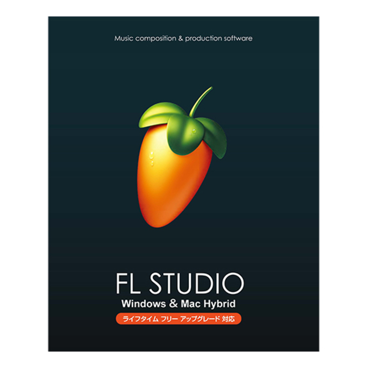 FL STUDIO 21 Producer