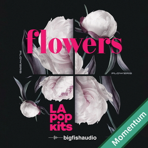 FLOWERS - LA POP KITS MMT