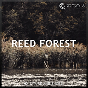 REED FOREST