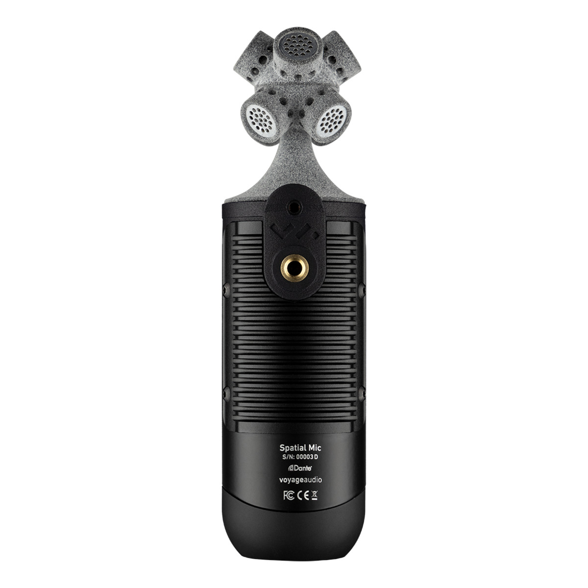 Spatial Mic Dante