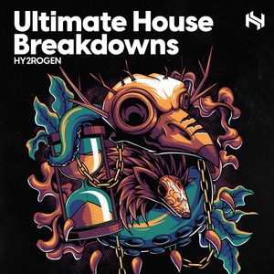 ULTIMATE HOUSE BREAKDOWNS