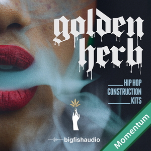 GOLDEN HERB - HIP HOP CONSTRUCTION KITS MMT