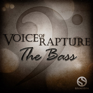 VOICE OF RAPTURE: THE BASS