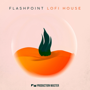 FLASHPOINT - LOFI HOUSE