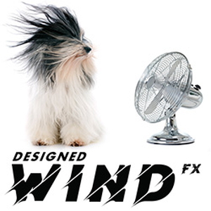 DESIGNED WIND FX