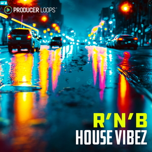R&B HOUSE VIBEZ