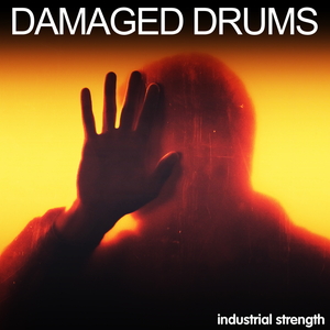 DAMAGED DRUMS