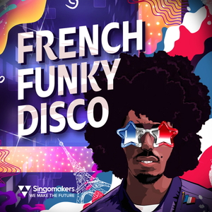 FRENCH FUNKY DISCO